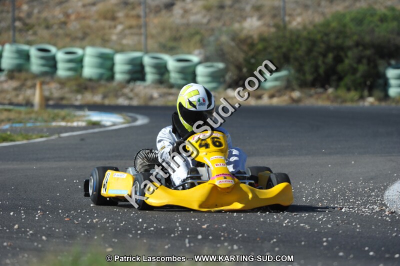DSC (1228).JPG